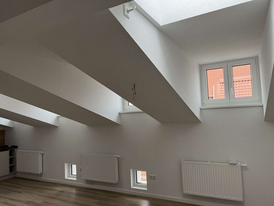 Gauben im DG Mehrfamilienhaus Greifswald